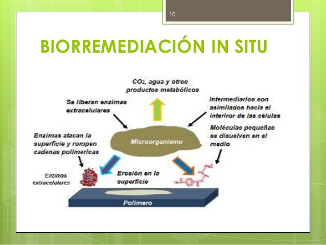 http://image.slidesharecdn.com/biorremediacin-150914021647-lva1-app6891/95/biorremediacin-10-638.jpg?cb=1442197335