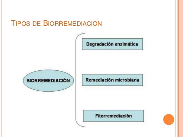 tipos de biorremediacion 6 degradación enzimática este tipo de tipos de biorremediacion 6 degradación enzimática este tipo de