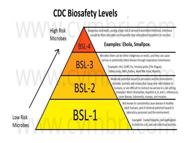 biosafety bsl levels chart