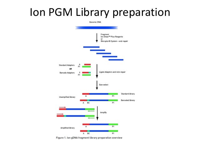 Biotech autumn2012-02-ngs2