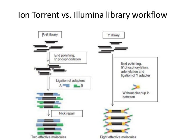 ion torrent workflow biotech autumn2012 02 ngs2 ion torrent workflow biotech autumn2012 02 ngs2