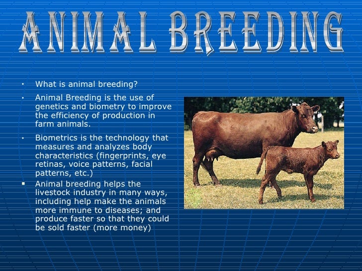 Biotech...livestock pwpt....