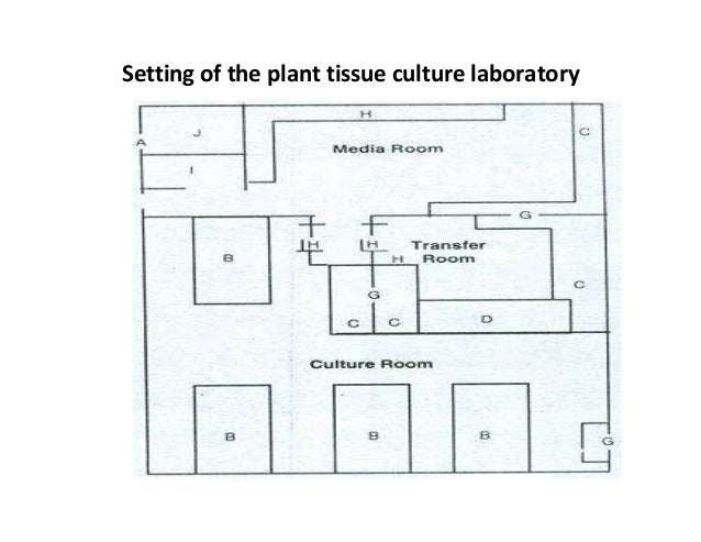 Cell Culture Room Design Cell Culture Room Design