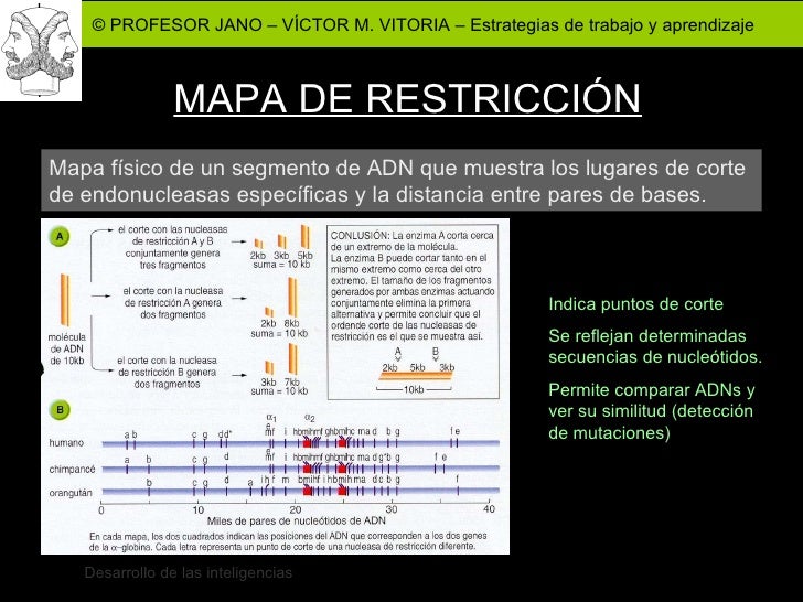 Biotecnología 1