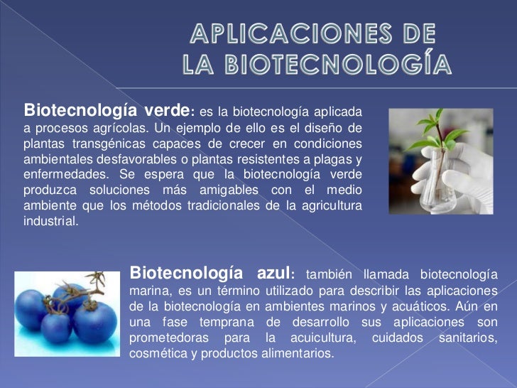 Qué es la Biotecnología Qué es la Biotecnología