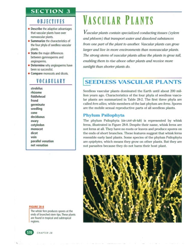 Bio text plant phyla pp567to575