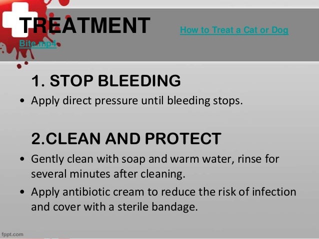 Dog Bite First Aid Images Dog Bite First Aid Images