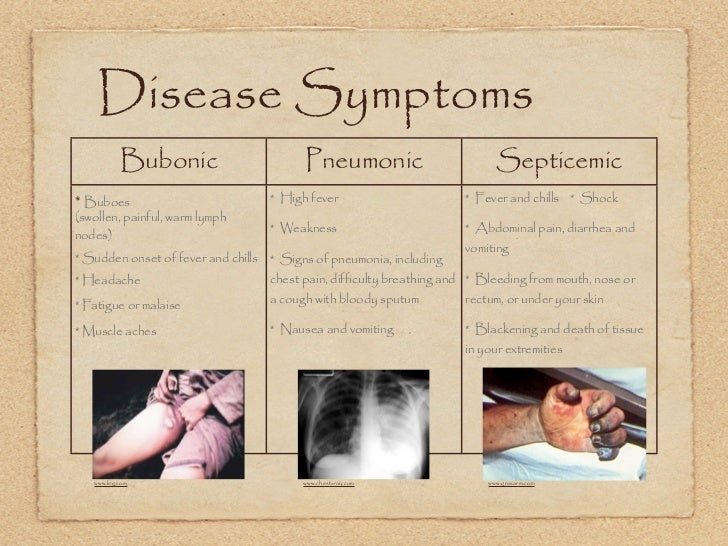 the black death symptoms causes and A graphic description of black death symptoms and causes of the disease | the black death. the black death symptoms causes and A graphic description of black death symptoms and causes of the disease | the black death.