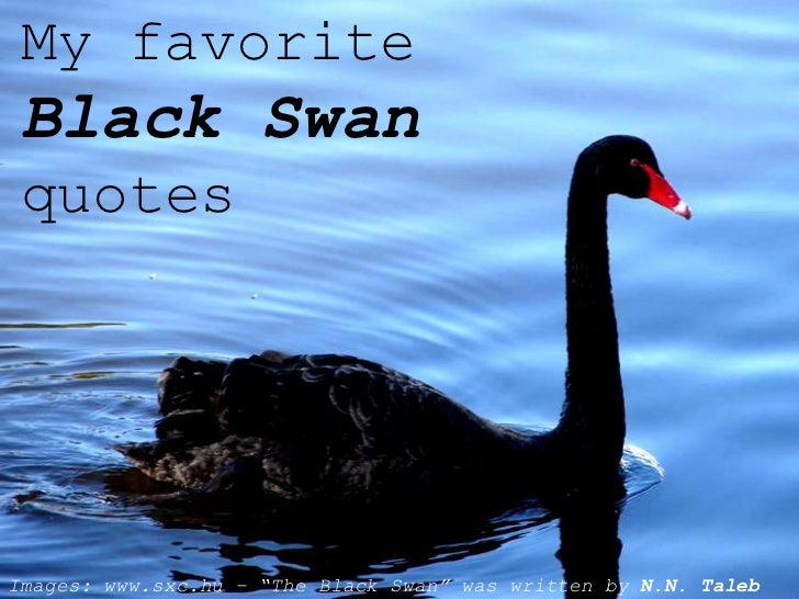 Black swan quote