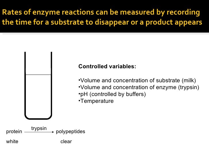 how do subtrate concentration and ph affect enzyme controlled reactions how do subtrate concentration and ph affect enzyme controlled reactions