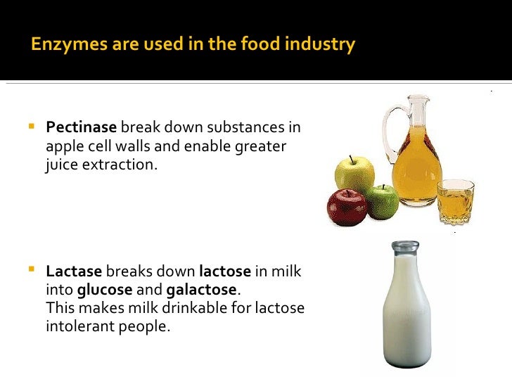 the influence of ph on the activity of catalase enzyme essay Essay on enzymes: definition, properties and factors essay on the enzyme specificity a small change in ph may inhibit enzyme activity. the influence of ph on the activity of catalase enzyme essay Essay on enzymes: definition, properties and factors essay on the enzyme specificity a small change in ph may inhibit enzyme activity.