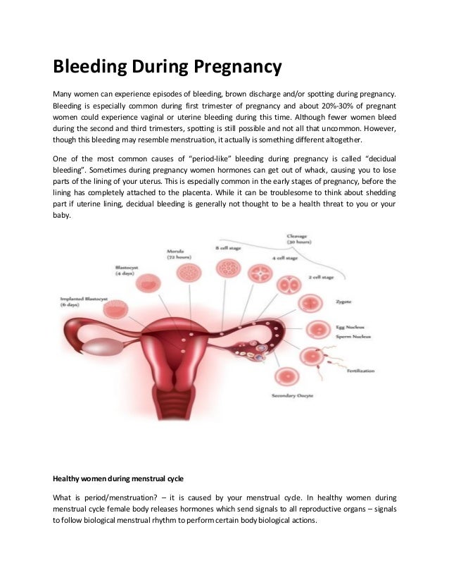 Normal Period When Pregnant 4