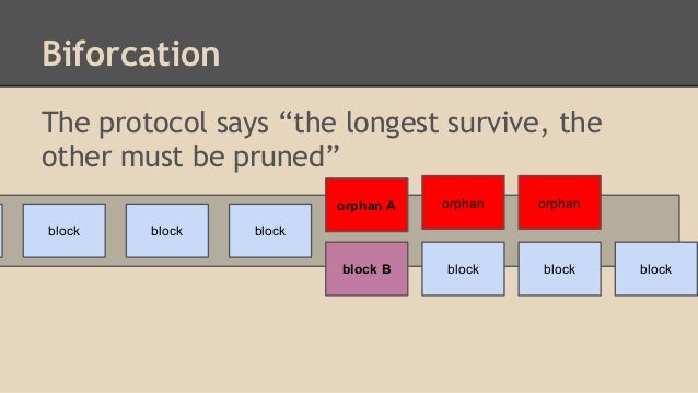 Bitcoin blockchain pruning peach trees