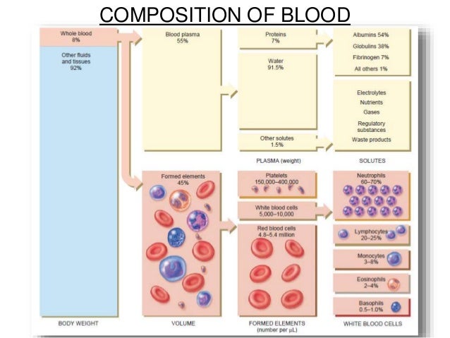 chemical composition of polypropylene pdf