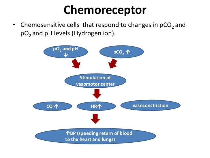 Blood pressure mechanism