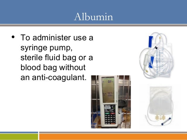 Blood Transfusion for the Veterinary Technician