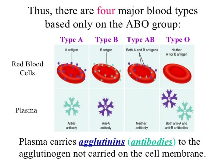 blood types blood types blood types blood types