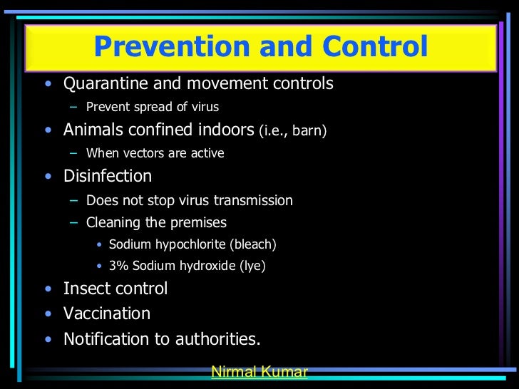 bluetounge virus