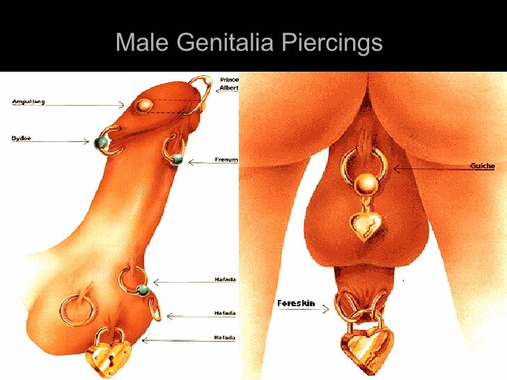 Different Types Of Penis Piercings 34