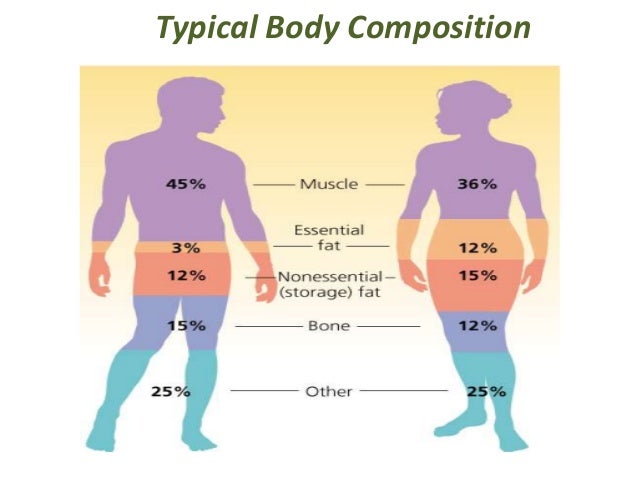 imuscle body composition imuscle body composition