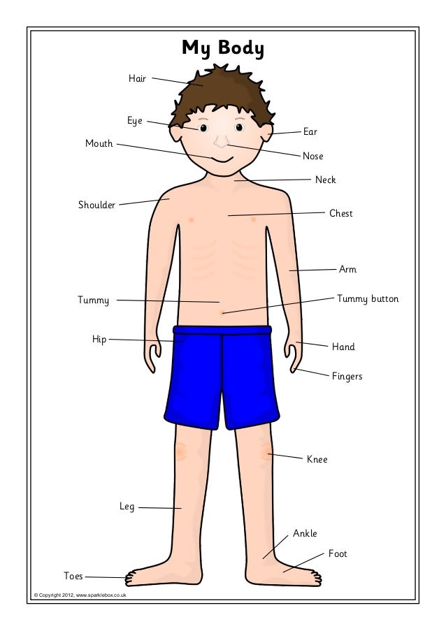 Body labelling