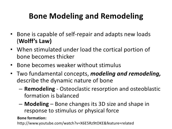 Bone grafts Engineering