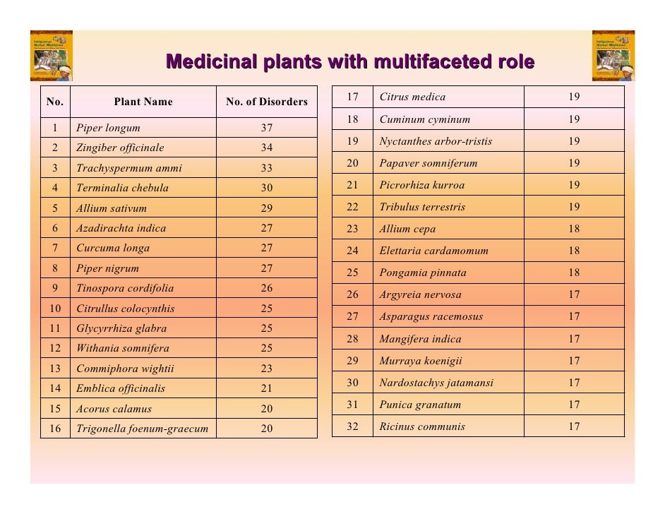 Indigenous Herbal Medicines Tribal Formulations and Traditional Herb…