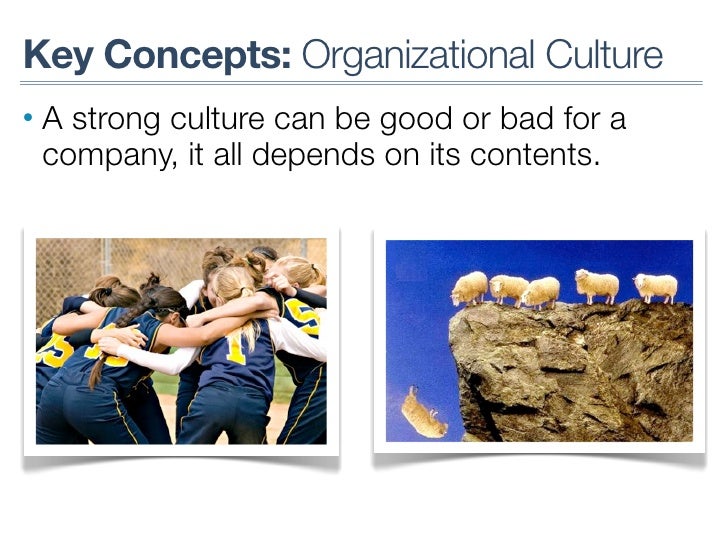 Dissertation Organizational Culture