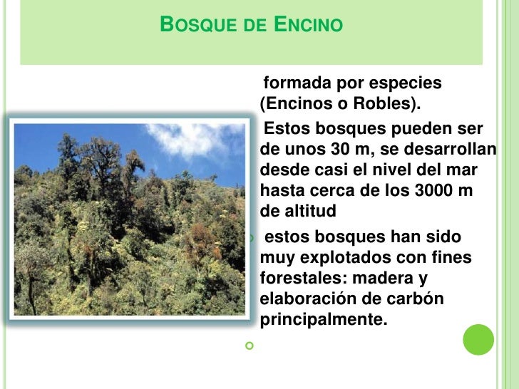 Bosques