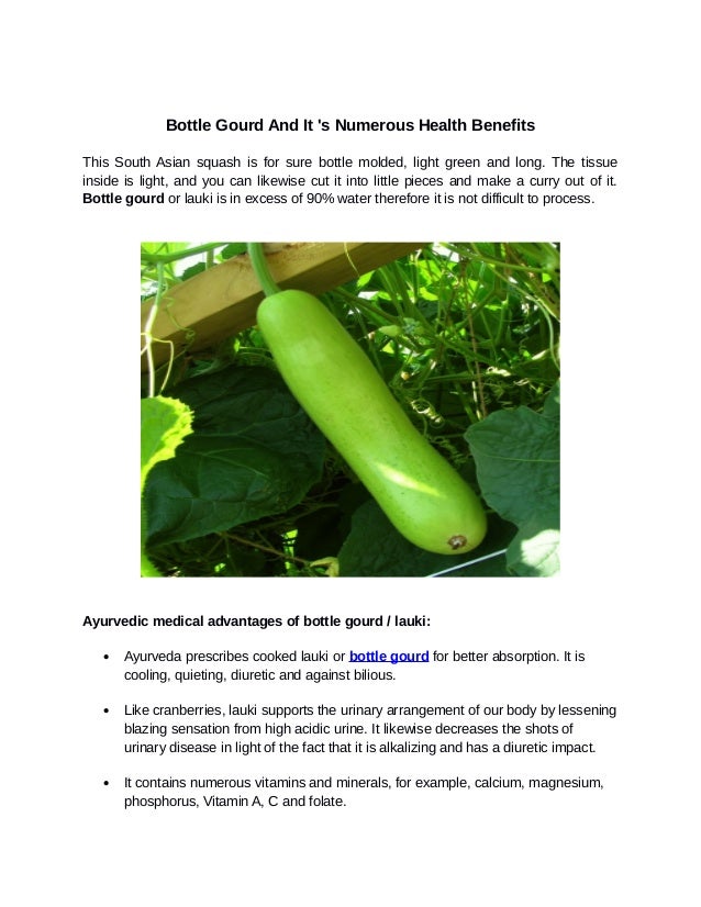 Bottle Gourd And It 's Numerous Health Benefits
