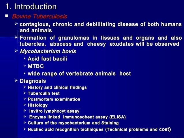 bovine tuberculosis thesis Diagnosis of bovine tuberculosis at slaughter houses a thesis submitted to the board of graduate studies university of ghana, legon ghana in fulfilment of the. bovine tuberculosis thesis Diagnosis of bovine tuberculosis at slaughter houses a thesis submitted to the board of graduate studies university of ghana, legon ghana in fulfilment of the.