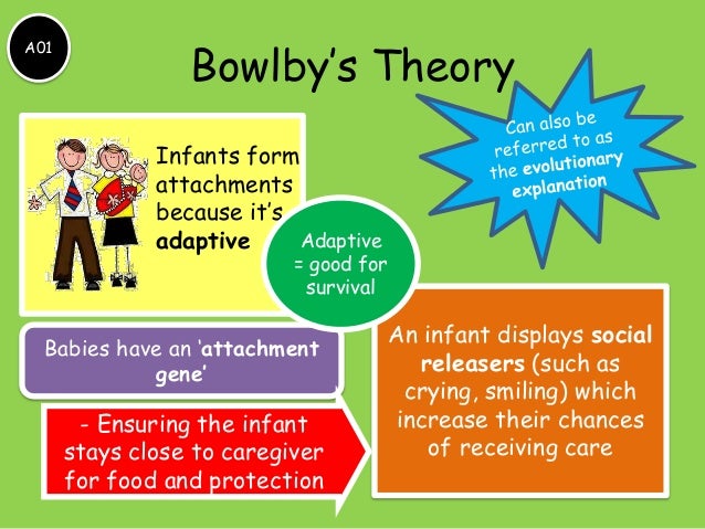 Essays About English Essays On The Attachment Theory Essay Help How To Stay Healthy Essay also In An Essay What Is A Thesis Statement Attachment Theory Barcafontanacountryinncom Personal Essay Samples For High School
