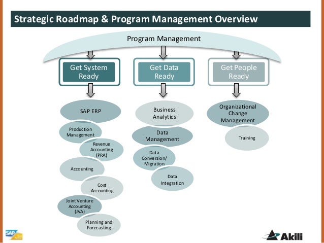 Program Roadmap Software
