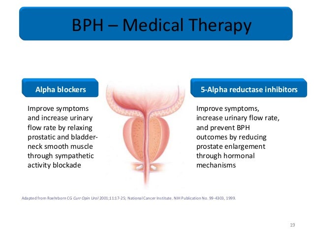 Cialis bph mechanism of action