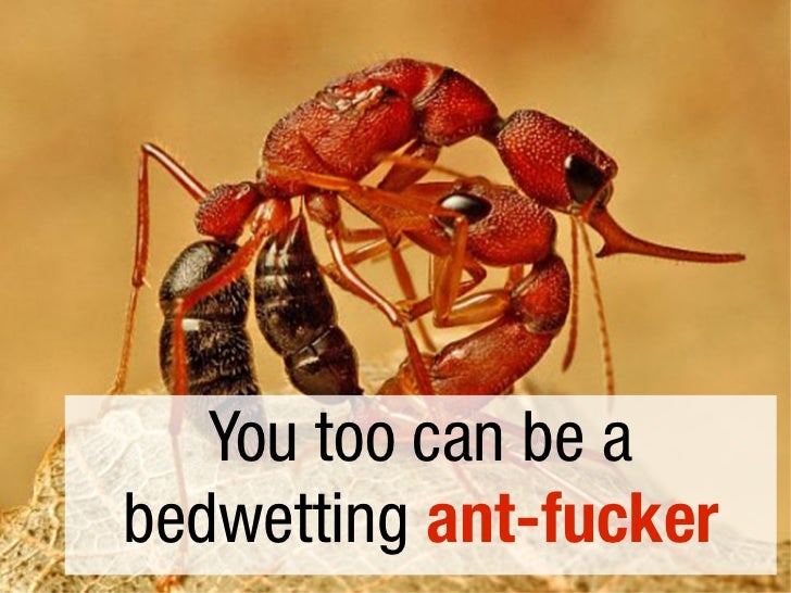 you-too-can-be-a-bedwetting-antfucker-bruce-lawson-opera-fronteers-2011-2-728.jpg