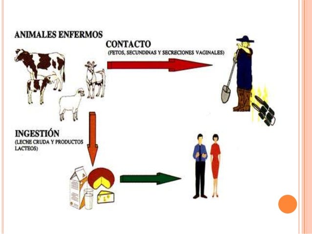 slide-7-638.jpg