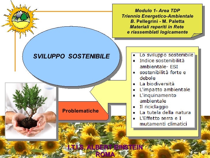 B. Sviluppo Sostenibile B. Sviluppo Sostenibile