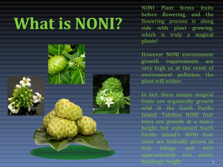 100Pure NONI ENZYME marketing plan