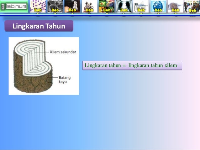 Bab
1
Bab
2
Bab
3
Bab
4
Bab
5
Bab
6
Bab
7
Bab
8
Bab
9
Bab
10
Lingkaran Tahun
Lingkaran tahun = lingka...