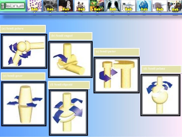 Bab
1
Bab
2
Bab
3
Bab
4
Bab
5
Bab
6
Bab
7
Bab
8
Bab
9
Bab
10
(a) Sendi peluru
(b) Sendi engsel
(c) S...