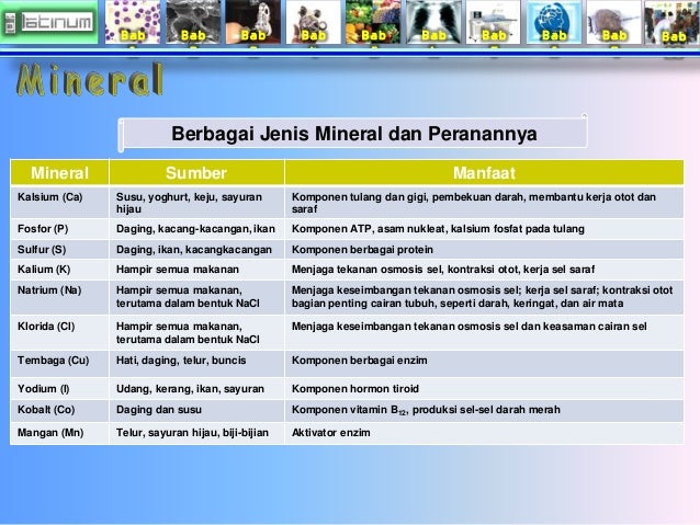 Bab
1
Bab
2
Bab
3
Bab
4
Bab
5
Bab
6
Bab
7
Bab
8
Bab
9
Bab
10
Berbagai Jenis Mineral dan Peranannya
Mi...