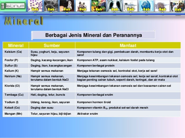 Bab 
1 
Bab 
2 
Bab 
3 
Bab 
4 
Bab 
5 
Bab 
6 
Bab 
7 
Bab 
8 
Bab 
9 
Bab 
10 
Berbagai Jenis Mineral dan Peranannya 
Mi...