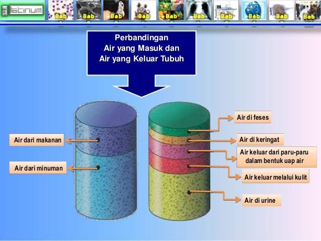 Bab 
1 
Bab 
2 
Bab 
3 
Bab 
4 
Bab 
5 
Bab 
6 
Bab 
7 
Bab 
8 
Bab 
9 
Bab 
10 
Air dari makanan 
Air dari minuman 
Air d...