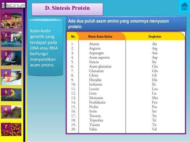1
2
3
4
5
6
7
D. Sintesis Protein
Kode-kode
genetik yang
terdapat pada
DNA atau RNA
berfungsi
menyandikan
as...