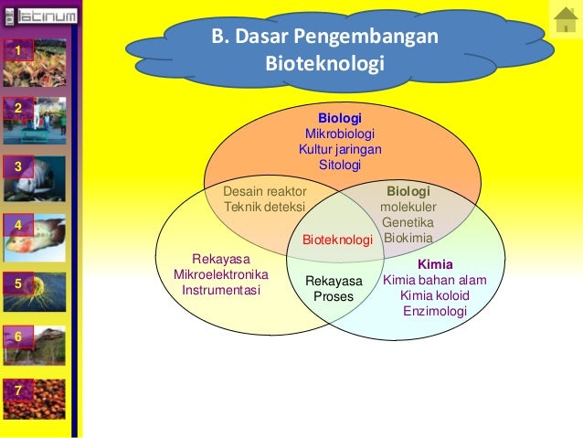 1
2
3
4
5
6
7
B. Dasar Pengembangan
Bioteknologi
Biologi
Mikrobiologi
Kultur jaringan
Sitologi
Biologi
molek...