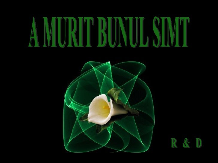 Bunul simt