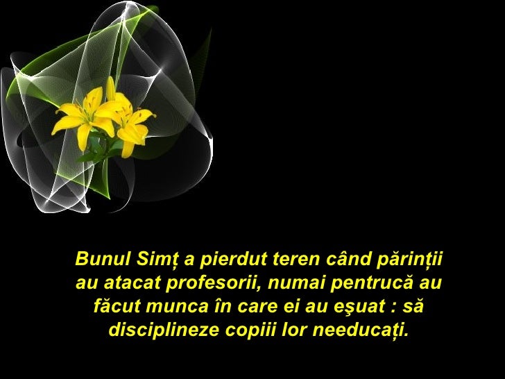 Bunul simt