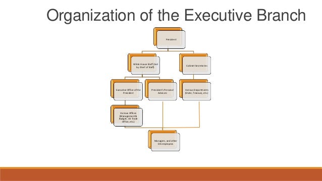 what is the structure and organization of the executive branch