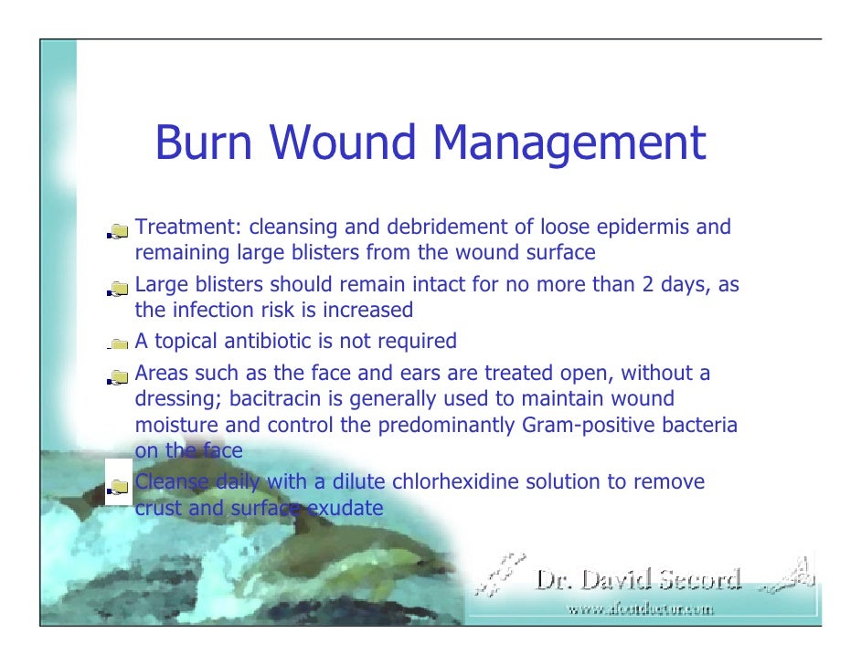 Burn Lecture