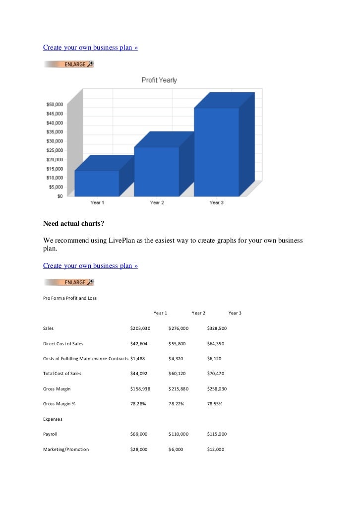 custom computer business plan